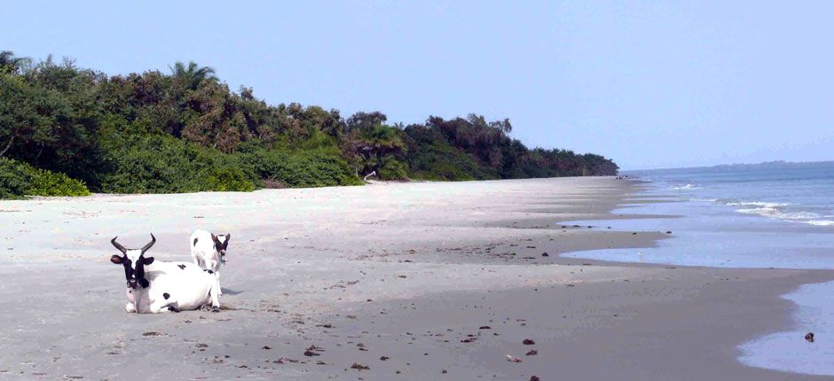 Natural Beauty (Bijagos Archipelago, Guinea-Bissau), Photo by Gill Harvey ©